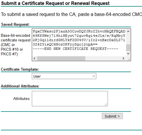 CSR Domain Certificate