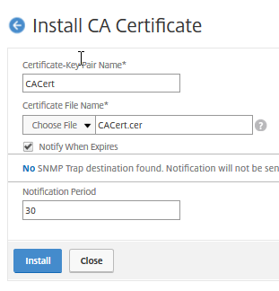 Net Scaler install CA